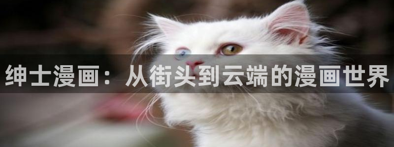 91动漫网络：绅士漫画：从街头到云端的漫画世界