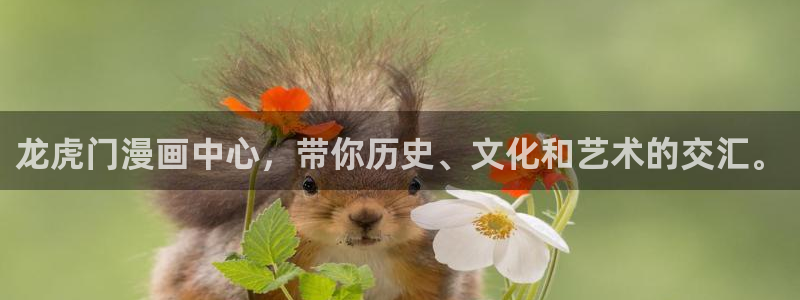 91漫画网址入口：龙虎门漫画中心，带你历史、文化和艺术的交汇。