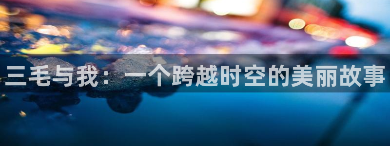 91网页动漫：三毛与我：一个跨越时空的美丽故事